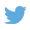twitter-icon twitter-icon