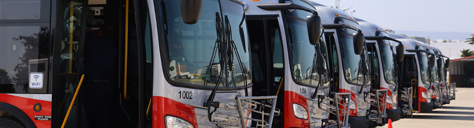 Row of buses