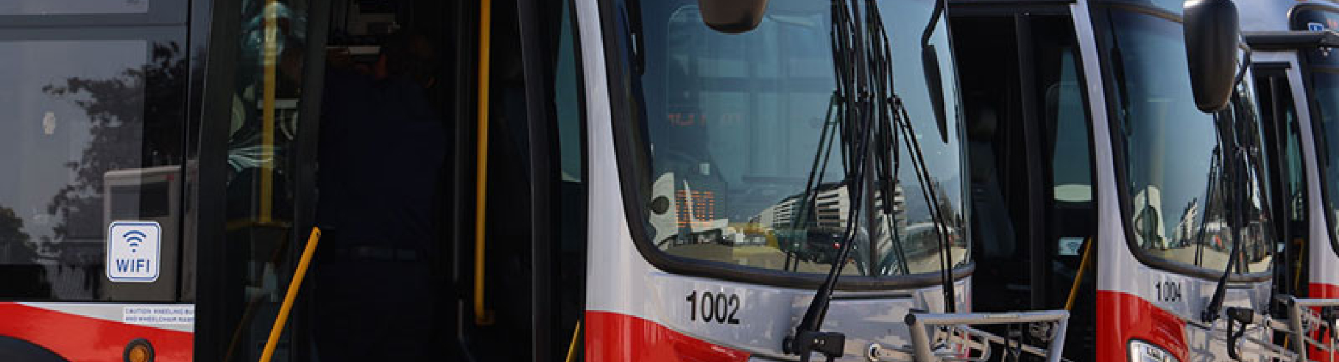 Row of buses