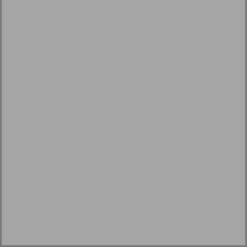 Blank Picture - website