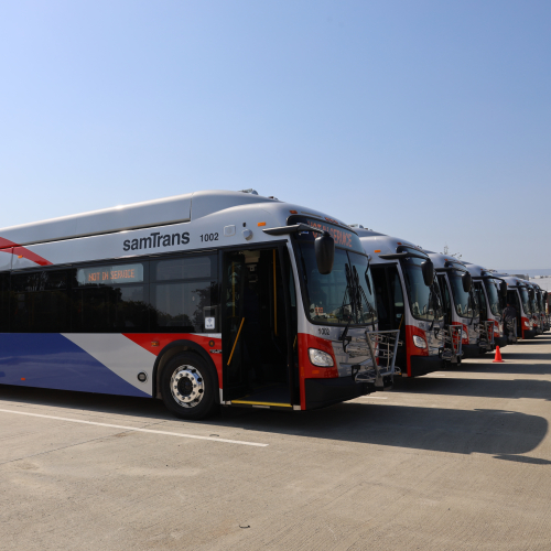 Fleet of SamTrans buses