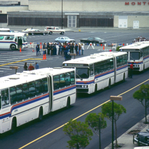 1990_-samtrans_line_of_buses.jpg