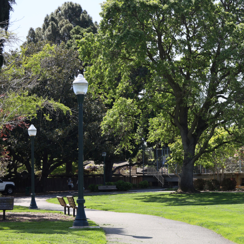 Central Park 1