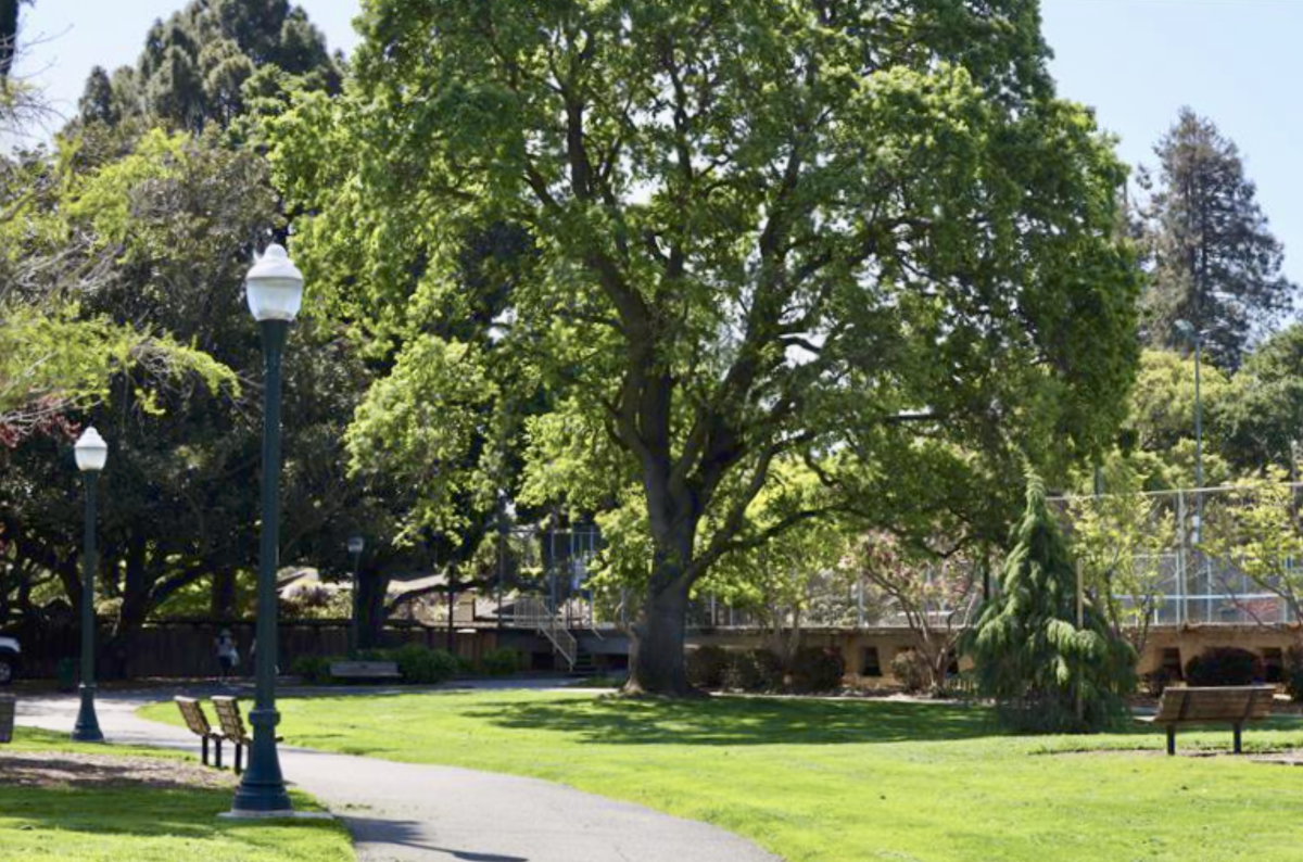 Central Park in San Mateo