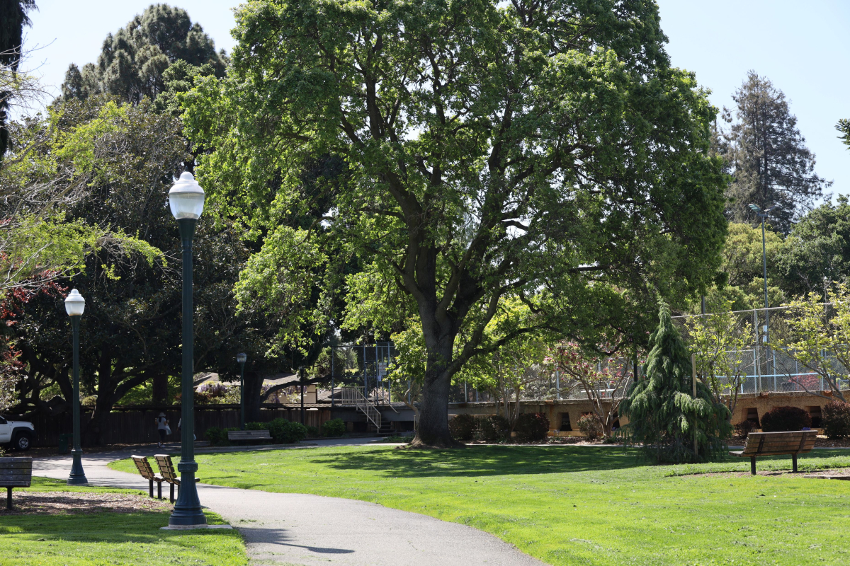 San Mateo Central Park