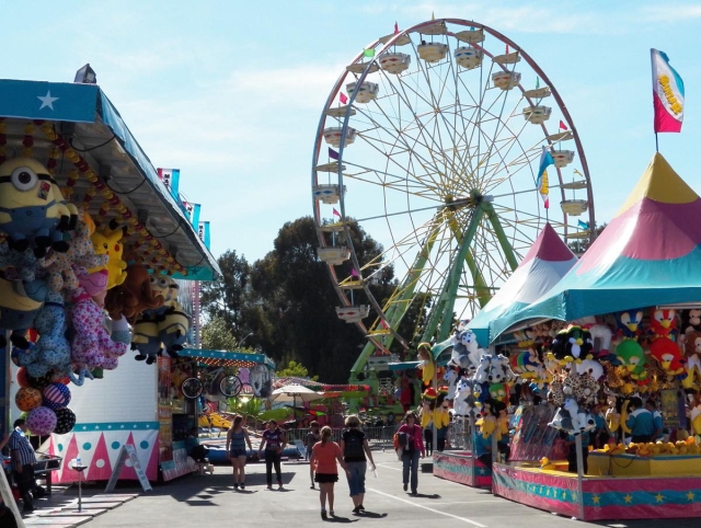 Ride SamTrans to the San Mateo County Fair | SamTrans