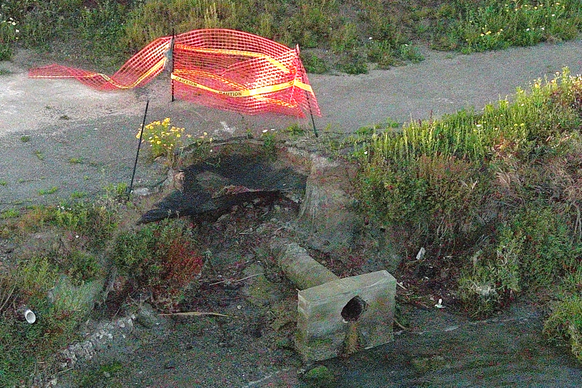 Shoreline Erosion example
